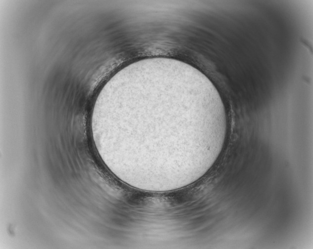 X0000103900250200810031156