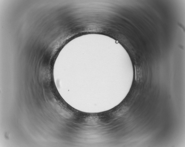 X0000103900252200810031156