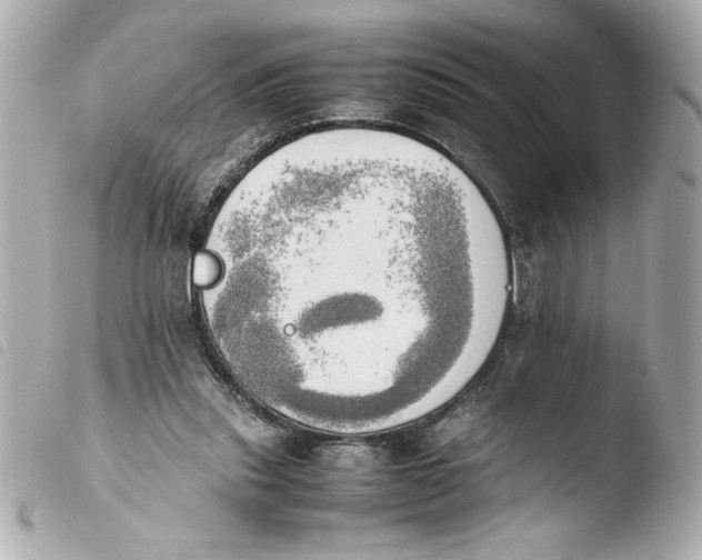 X0000103900253200810031156