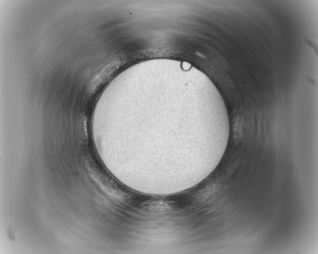 X0000103900254200810031156