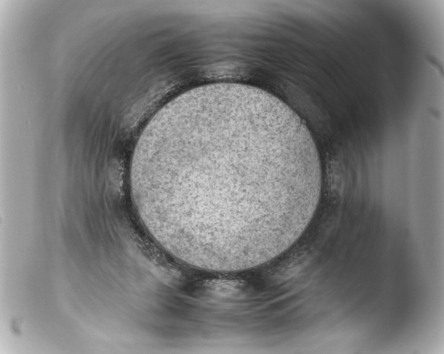 X0000103900255200810031156