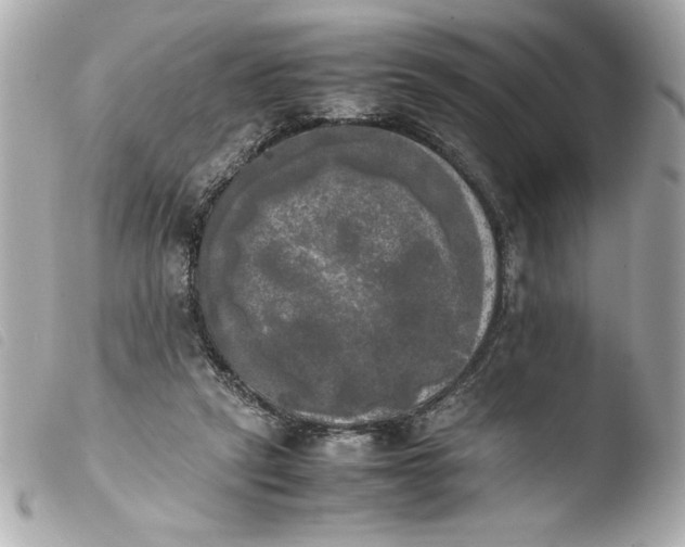 X0000103900257200810031156