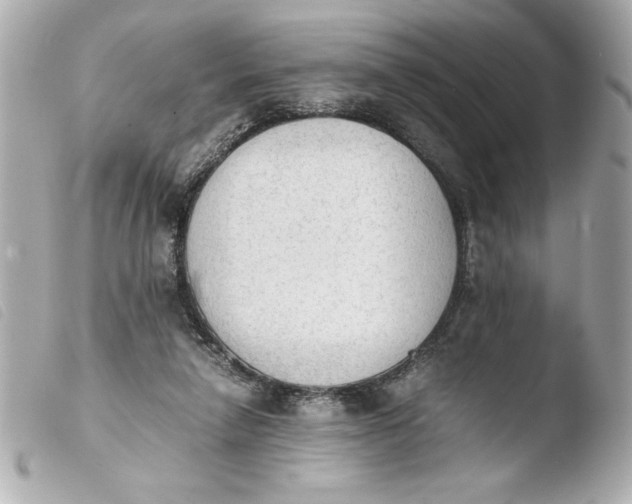 X0000103900258200810031156