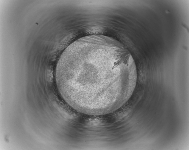 X0000103900259200810031156