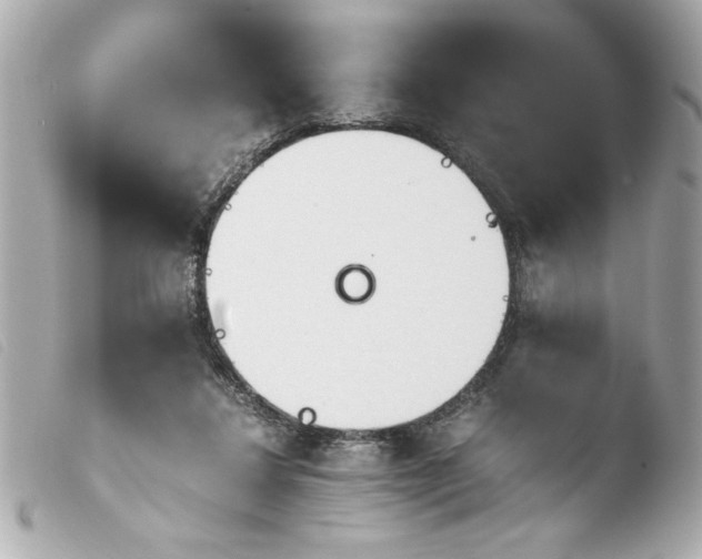 X0000103900260200810031156