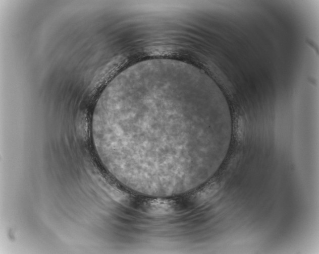 X0000103900261200810031156