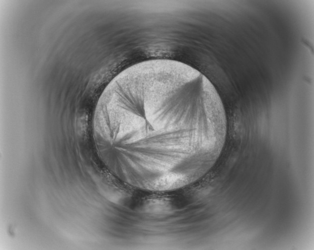 X0000103900263200810031156