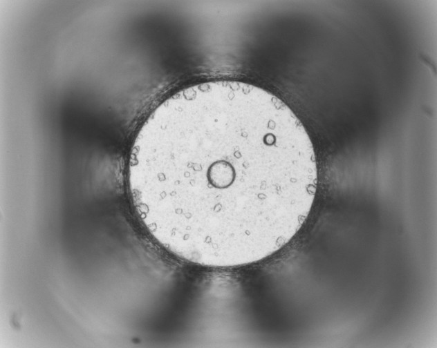 X0000103900264200810031156