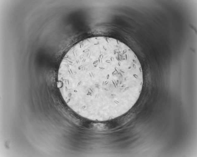 X0000103900265200810031156