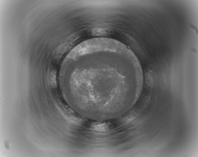 X0000103900267200810031156