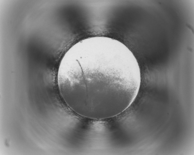 X0000103900268200810031156