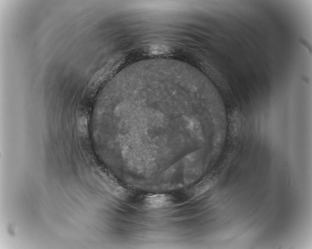 X0000103900269200810031156