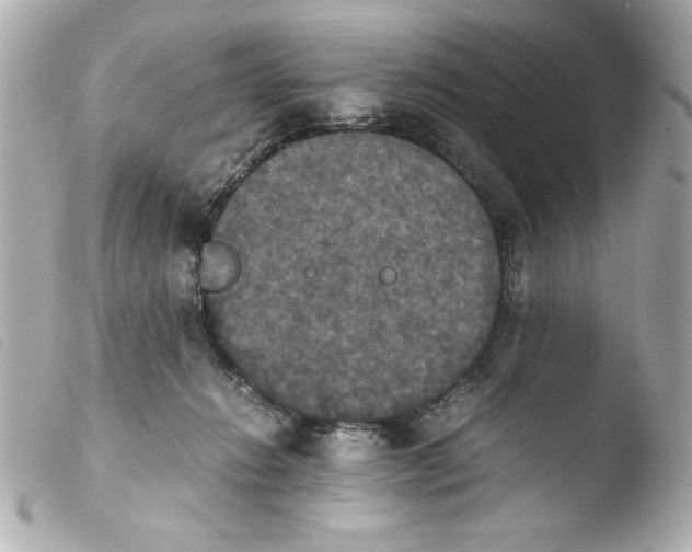 X0000103900270200810031156