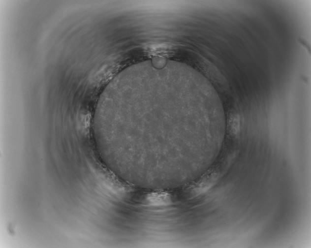 X0000103900271200810031156