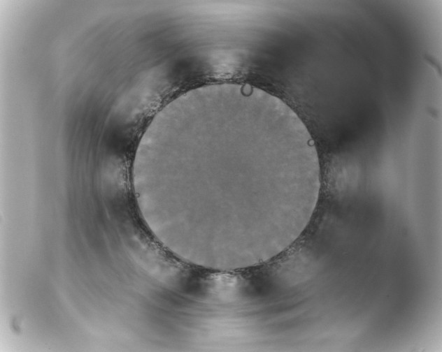 X0000103900272200810031156