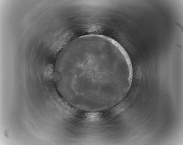 X0000103900273200810031156