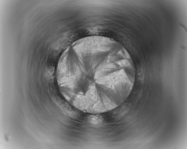 X0000103900275200810031156