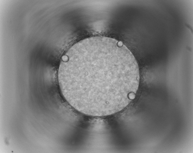 X0000103900276200810031156