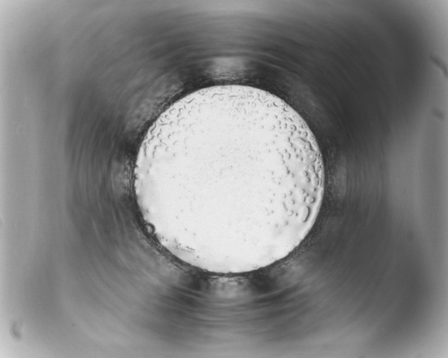 X0000103900277200810031156