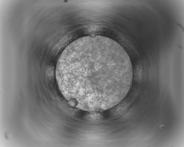 X0000103900278200810031156