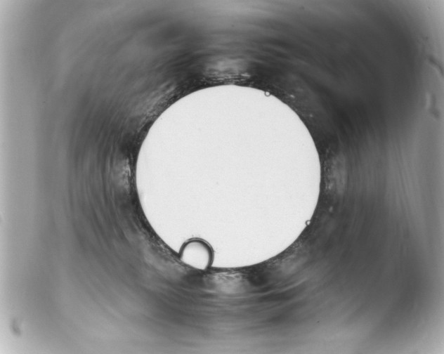 X0000103900279200810031156