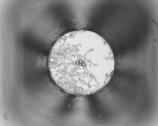 X0000103900280200810031156