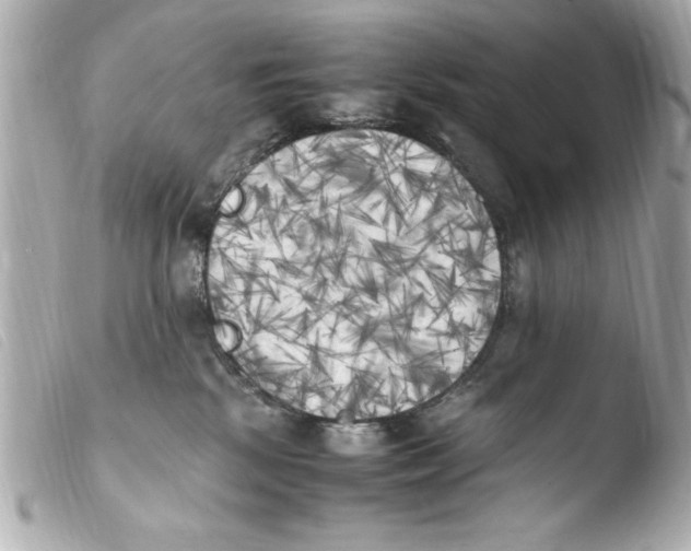 X0000103900281200810031156