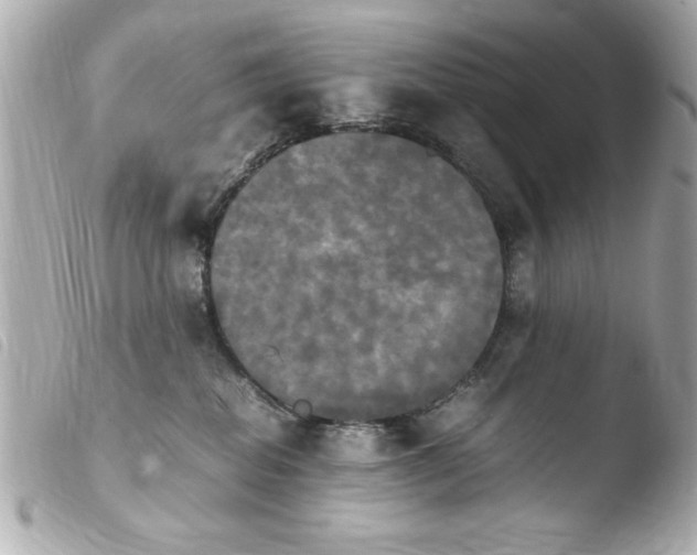 X0000103900282200810031156