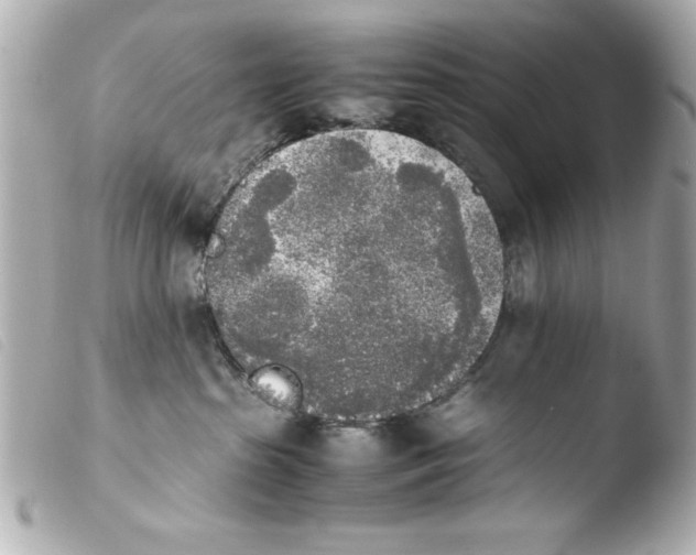 X0000103900285200810031156