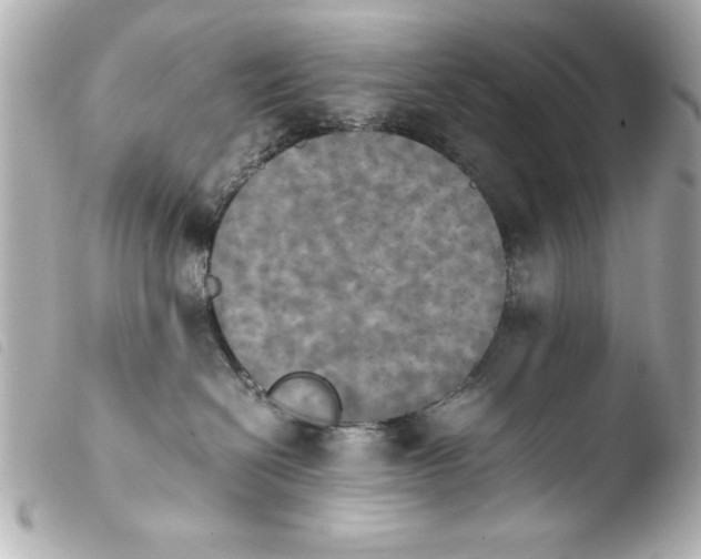 X0000103900286200810031156