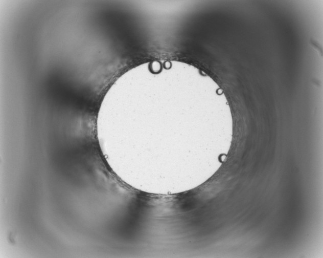 X0000103900288200810031156