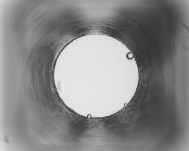 X0000103900289200810031156