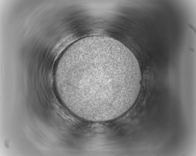 X0000103900290200810031156