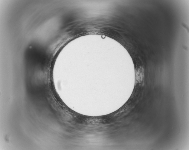 X0000103900291200810031156