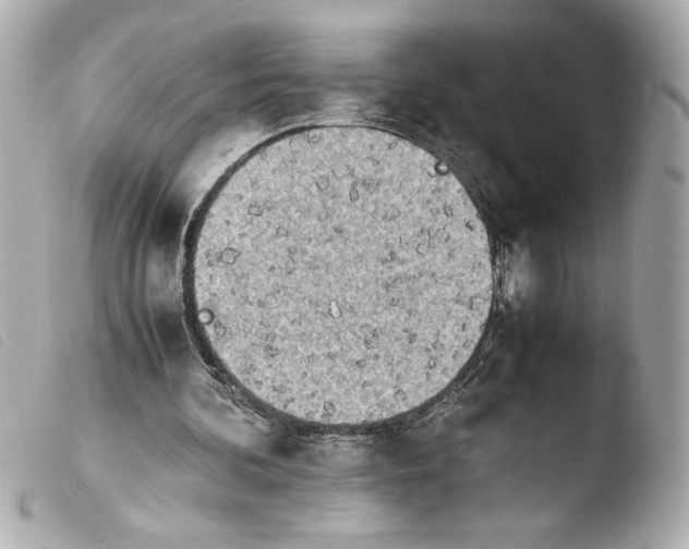 X0000103900292200810031156