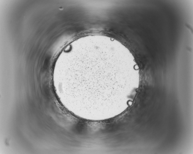 X0000103900293200810031156