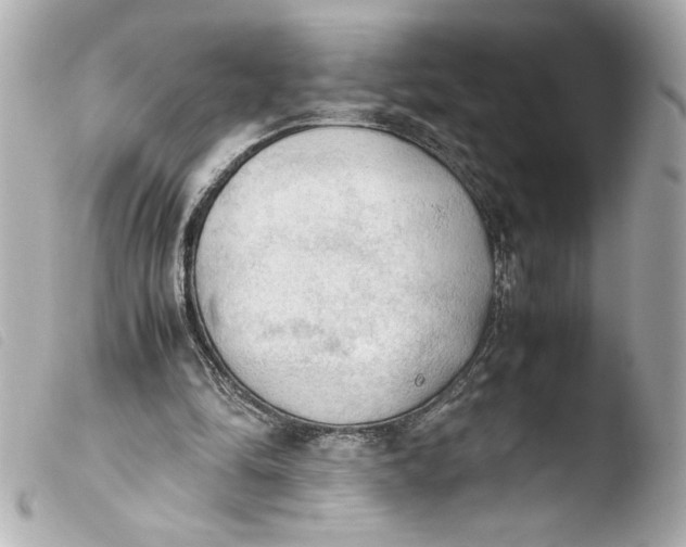 X0000103900294200810031156