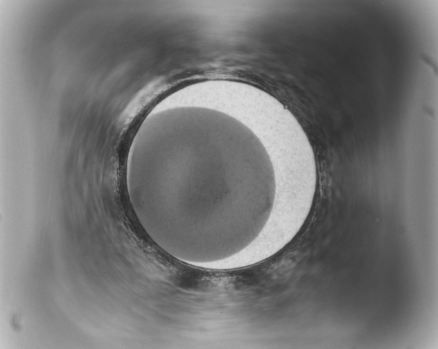 X0000103900295200810031156