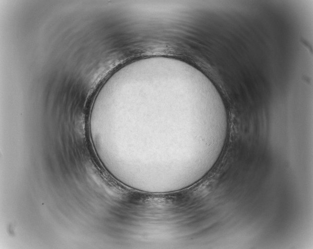 X0000103900298200810031155