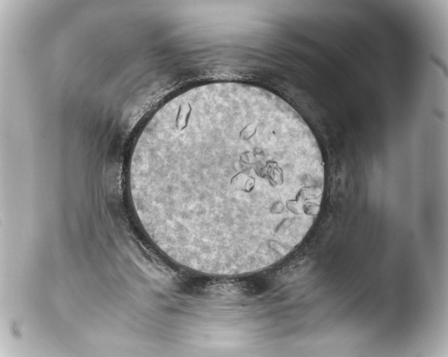 X0000103900299200810031155