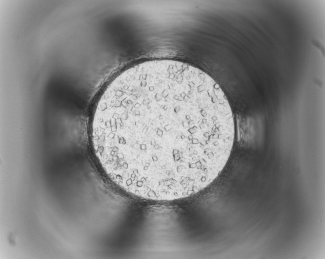 X0000103900300200810031155