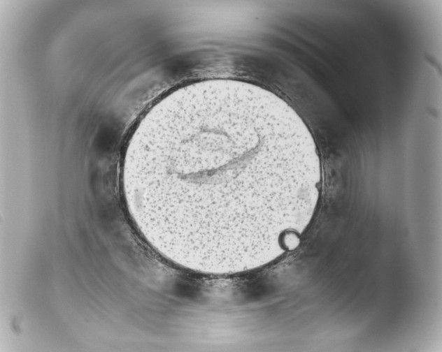 X0000103900301200810031155