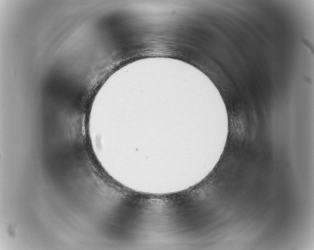 X0000103900302200810031155