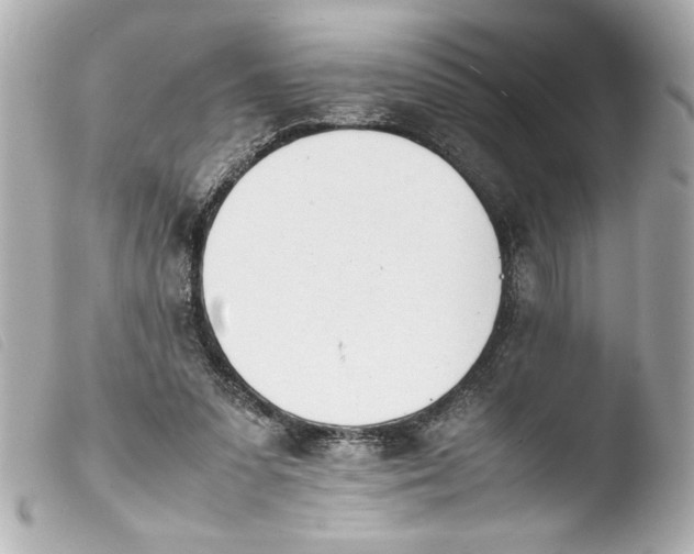 X0000103900303200810031155