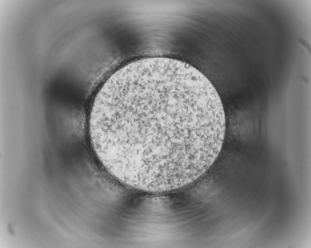 X0000103900304200810031155