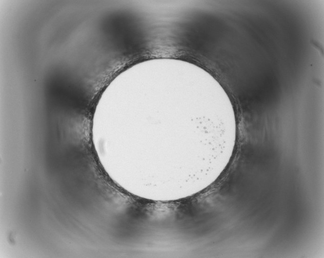 X0000103900305200810031155