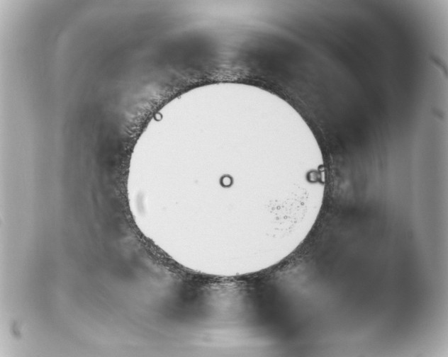 X0000103900307200810031155