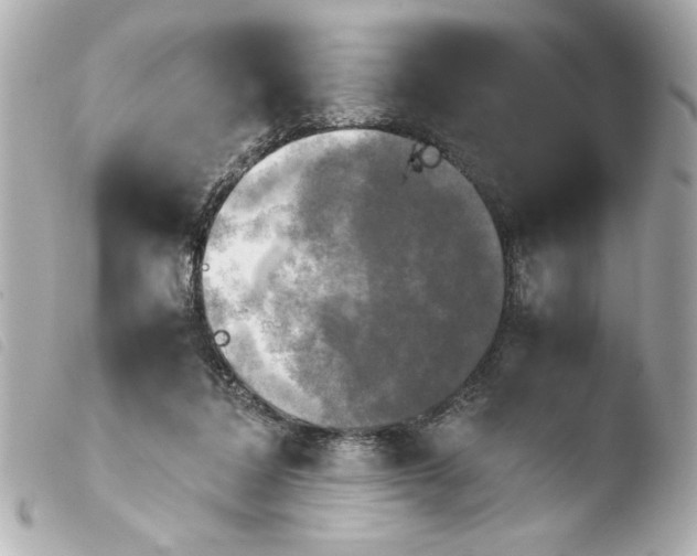 X0000103900308200810031155