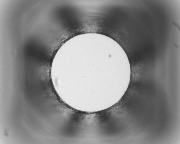 X0000103900309200810031155