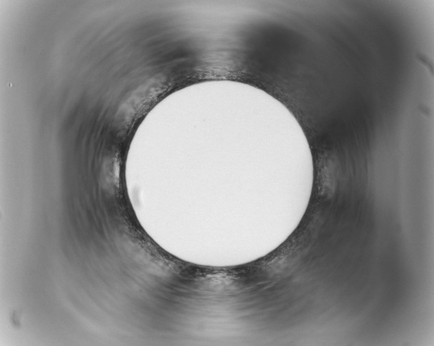 X0000103900310200810031155